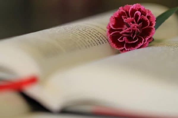 03. Sonntag nach Trinitatis (Das Wort der Versöhnung)